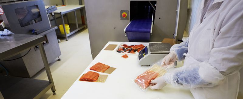 Hygiene Culture – Food Safety in Processing Plants