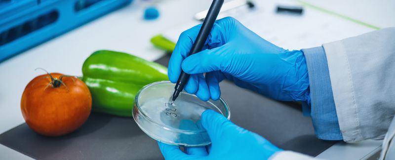 Ensuring Food Safety: A Global Health Priority