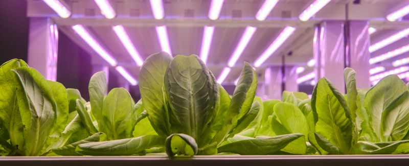 Fight Against Antimicrobial Resistance with New Technology