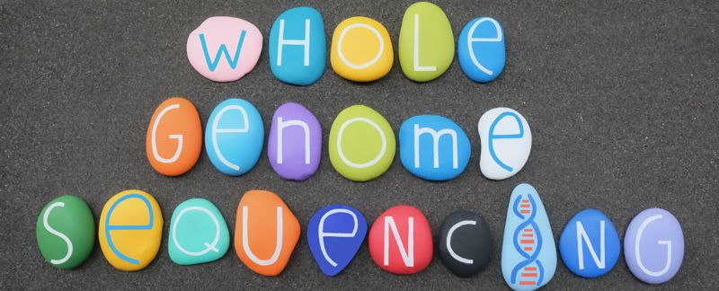 EU Commission Proposes Use of Whole Genome Sequencing in Outbreak Investigations