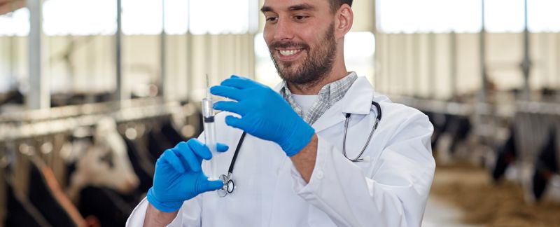 Developing a Vaccine for Livestock: Enhancing Food Safety